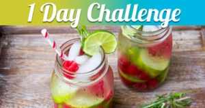 1 day challenge