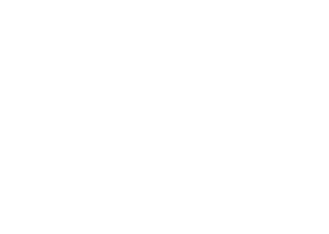 Typography Primary Font